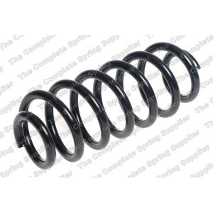 Coil Spring - Rear