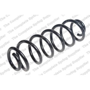 Coil Spring - Rear