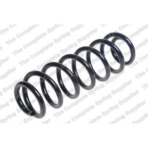 Coil Spring - Rear