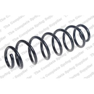 Coil Spring - Rear