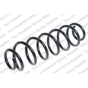 Coil Spring - Rear