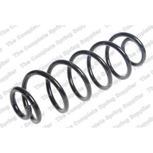 Coil Spring - Rear