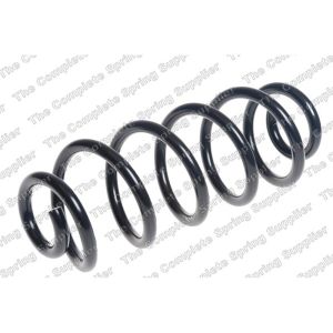 Coil Spring - Rear