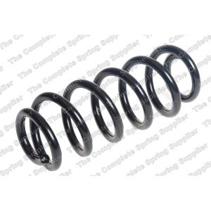 Coil Spring - Rear