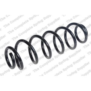 Coil Spring - Rear