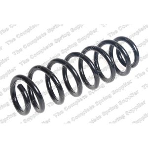 Coil Spring - Rear