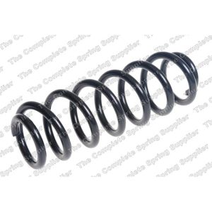 Coil Spring - Rear