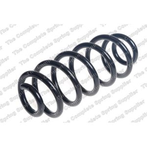 Coil Spring - Rear