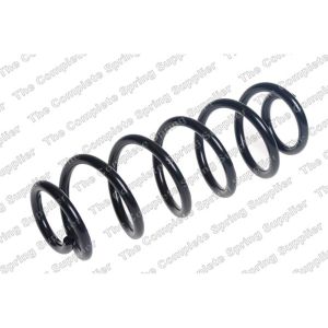 Coil Spring - Rear