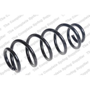 Coil Spring - Rear