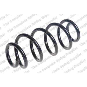 Coil Spring - Rear