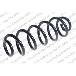 Coil Spring - Rear