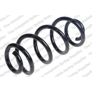 Coil Spring - Rear