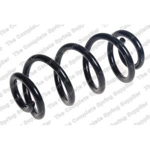 Coil Spring - Rear