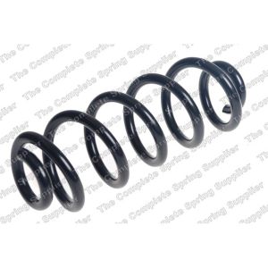 Coil Spring - Rear