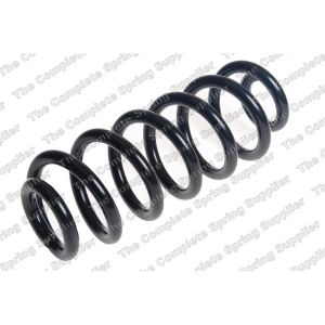 Coil Spring - Rear