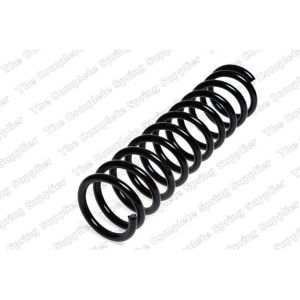 Coil Spring - Rear