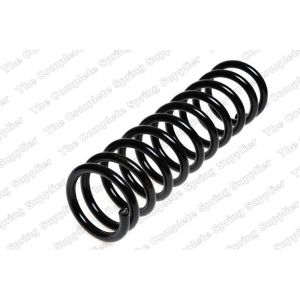 Coil Spring - Rear