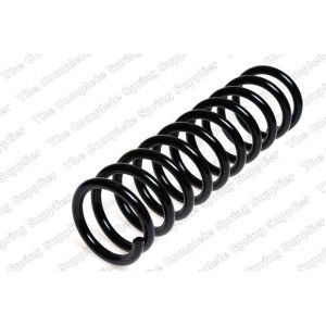 Coil Spring - Rear