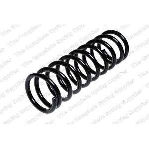 Coil Spring - Rear