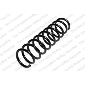 Coil Spring - Rear