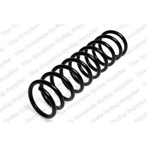 Coil Spring - Rear