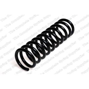 Coil Spring - Rear