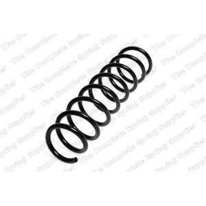 Coil Spring - Rear