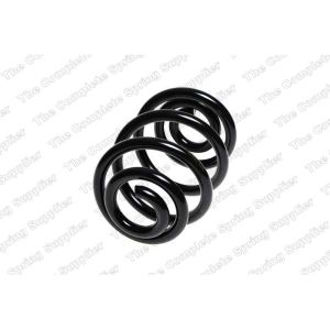 Coil Spring - Rear