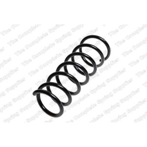 Coil Spring - Rear