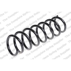 Coil Spring - Rear