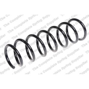 Coil Spring - Rear