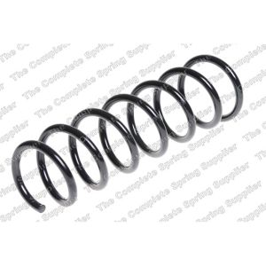 Coil Spring - Rear