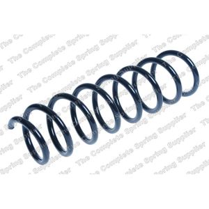 Coil Spring - Rear