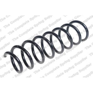 Coil Spring - Rear