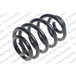 Coil Spring - Rear