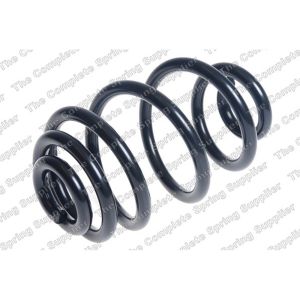 Coil Spring - Rear