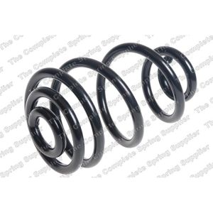 Coil Spring - Rear