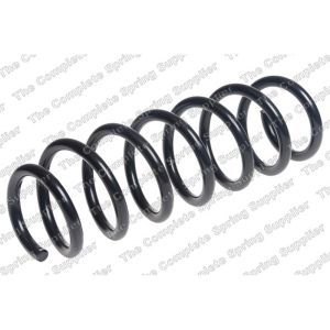 Coil Spring - Rear