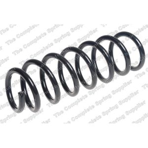 Coil Spring - Rear