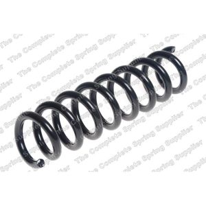 Coil Spring - Rear