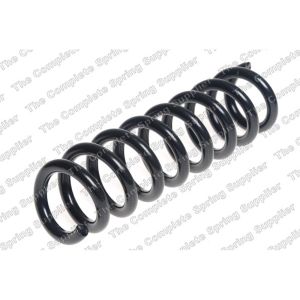 Coil Spring - Rear