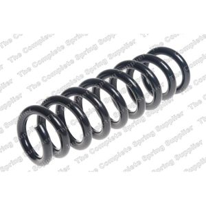 Coil Spring - Rear