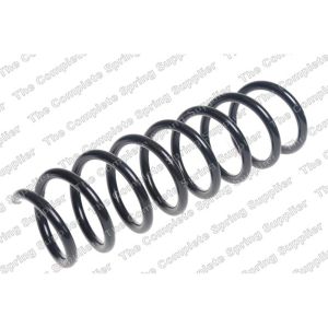 Coil Spring - Rear