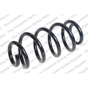 Coil Spring - Rear