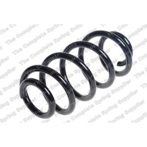 Coil Spring - Rear