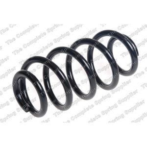 Coil Spring - Rear