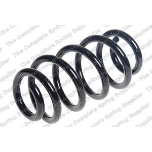 Coil Spring - Rear