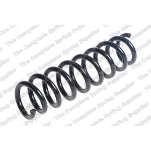 Coil Spring - Rear