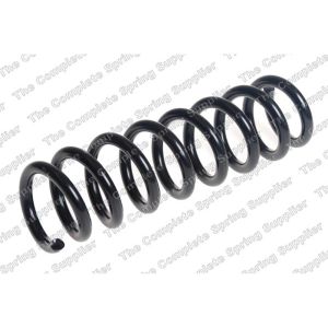 Coil Spring - Rear